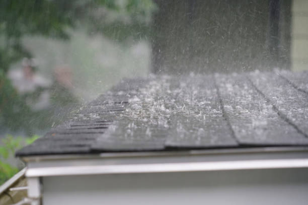 Best Sheet Metal Roofing  in Oldsmar, FL