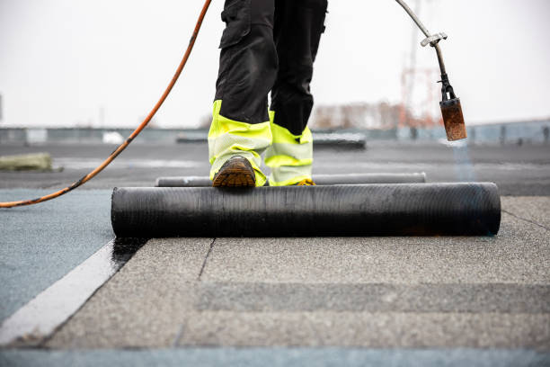 Best 4 Ply Roofing  in Oldsmar, FL