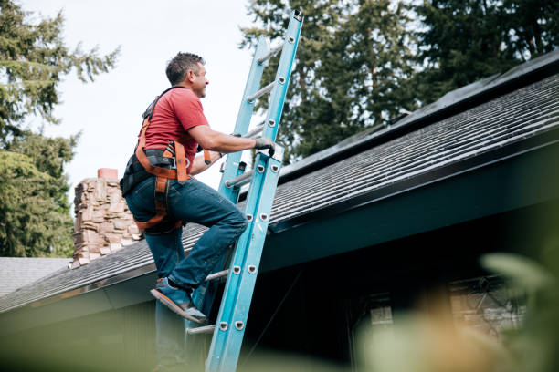 Best Commercial Roofing Services  in Oldsmar, FL