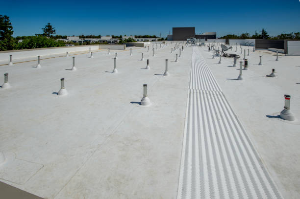 Best Hot Roofs  in Oldsmar, FL